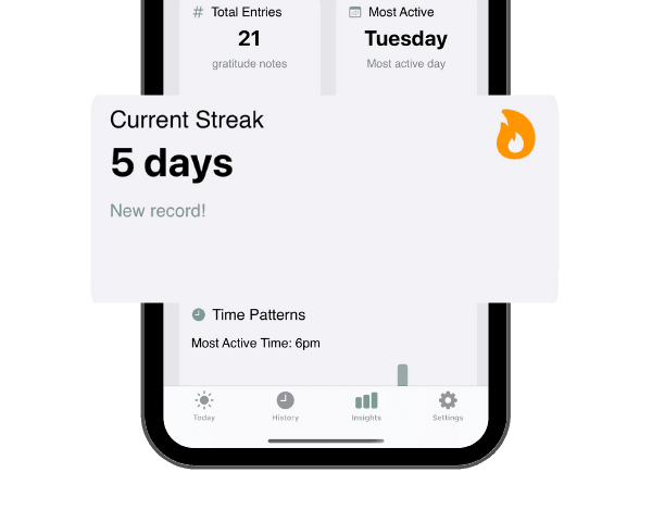 Insights Feature